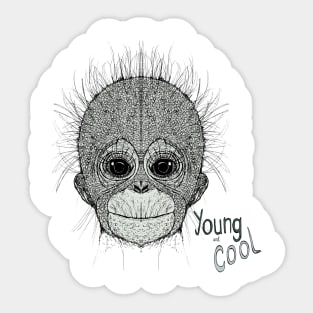 Monkey 2 Sticker